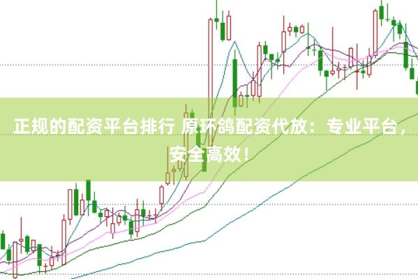 正规的配资平台排行 原环鸽配资代放：专业平台，安全高效！