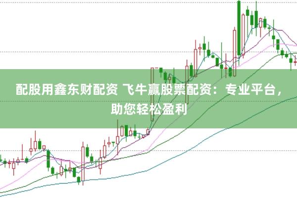 配股用鑫东财配资 飞牛赢股票配资：专业平台，助您轻松盈利