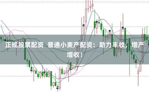 正规股票配资  普通小麦产配资：助力丰收，增产增收！