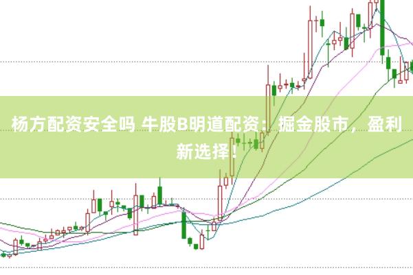 杨方配资安全吗 牛股B明道配资：掘金股市，盈利新选择！
