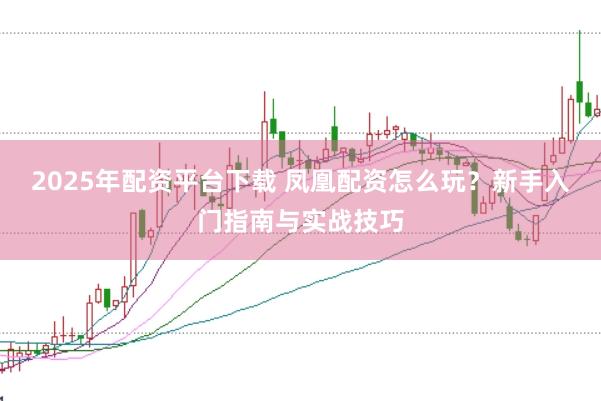 2025年配资平台下载 凤凰配资怎么玩？新手入门指南与实战技巧