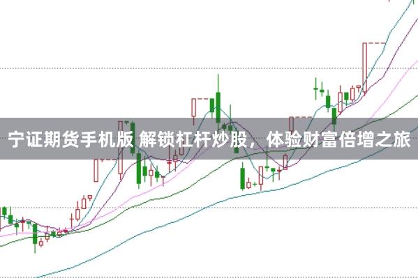 宁证期货手机版 解锁杠杆炒股，体验财富倍增之旅