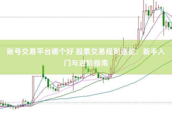 账号交易平台哪个好 股票交易规则速览：新手入门与进阶指南