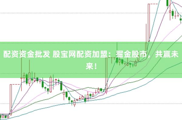 配资资金批发 股宝网配资加盟：掘金股市，共赢未来！