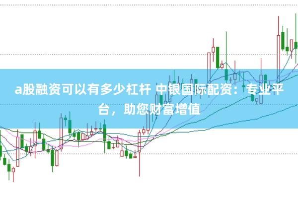 a股融资可以有多少杠杆 中银国际配资：专业平台，助您财富增值
