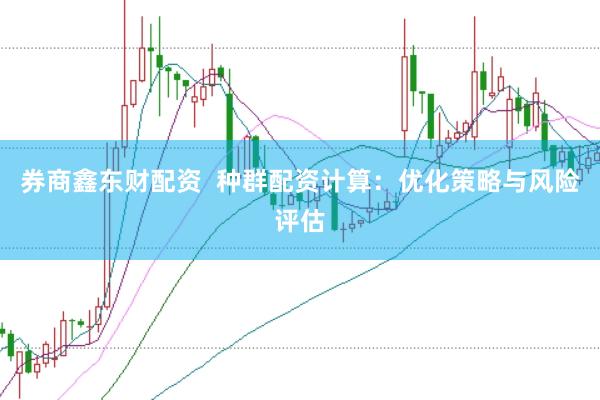 券商鑫东财配资  种群配资计算：优化策略与风险评估