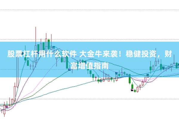 股票杠杆用什么软件 大金牛来袭！稳健投资，财富增值指南