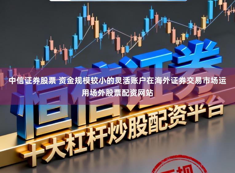 中信证券股票 资金规模较小的灵活账户在海外证券交易市场运用场外股票配资网站