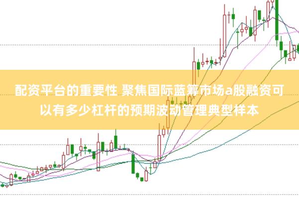 配资平台的重要性 聚焦国际蓝筹市场a股融资可以有多少杠杆的预期波动管理典型样本